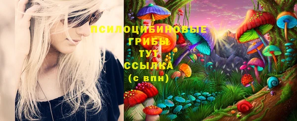 гидропоника Алзамай