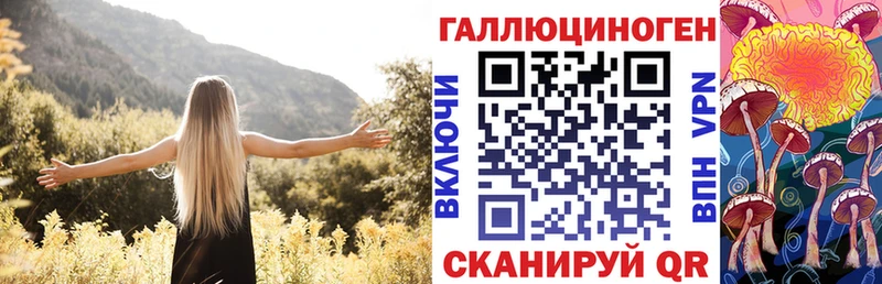 Галлюциногенные грибы GOLDEN TEACHER  продажа наркотиков  Сосновоборск 